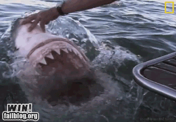 6TeUzeiaikKs8SEAacLDBQ2.gif