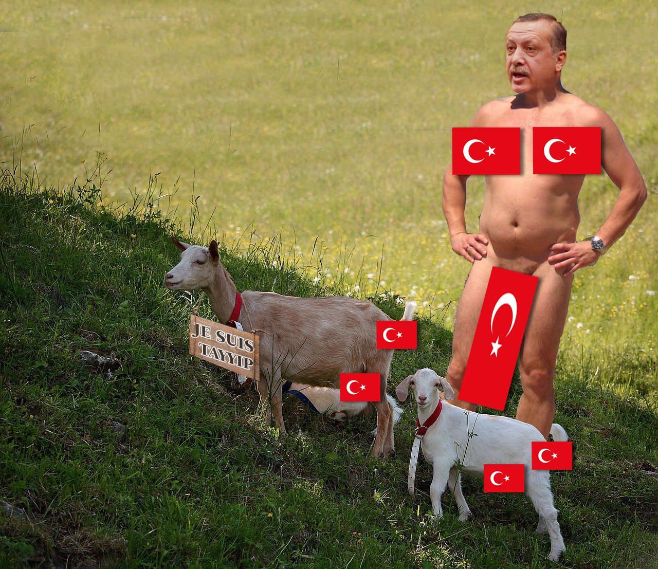 2oewJwB.jpg