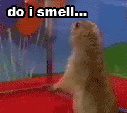 ban.gif