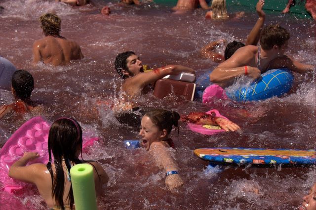Piranha3D_014.JPG