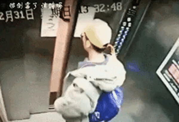 H6ayO7O.gif