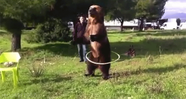 bBraCij.gif