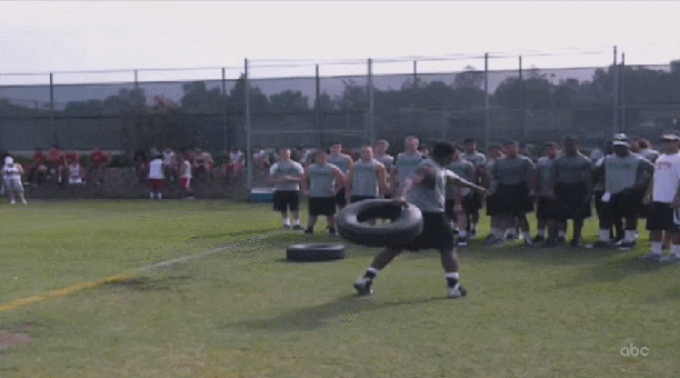 14.gif