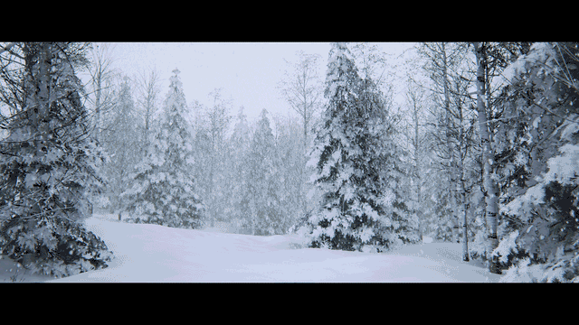 5yQ8J20.gif