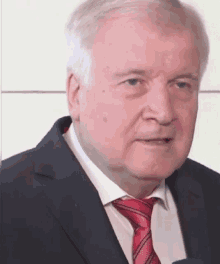die-gr%C3%BCnen.gif