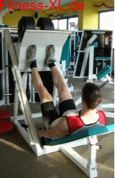 259.gif