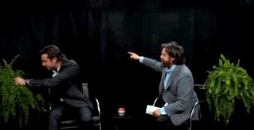 fern-fight.gif