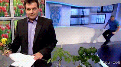 tumblr_n4kmmcHug61s2yegdo1_400.gif