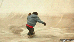 giphy.gif