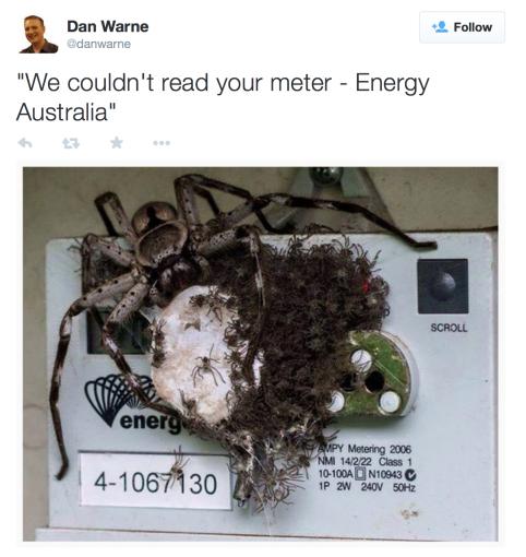 cwylqytt5s2etvwaz.jpg