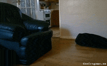md3SWrg.gif