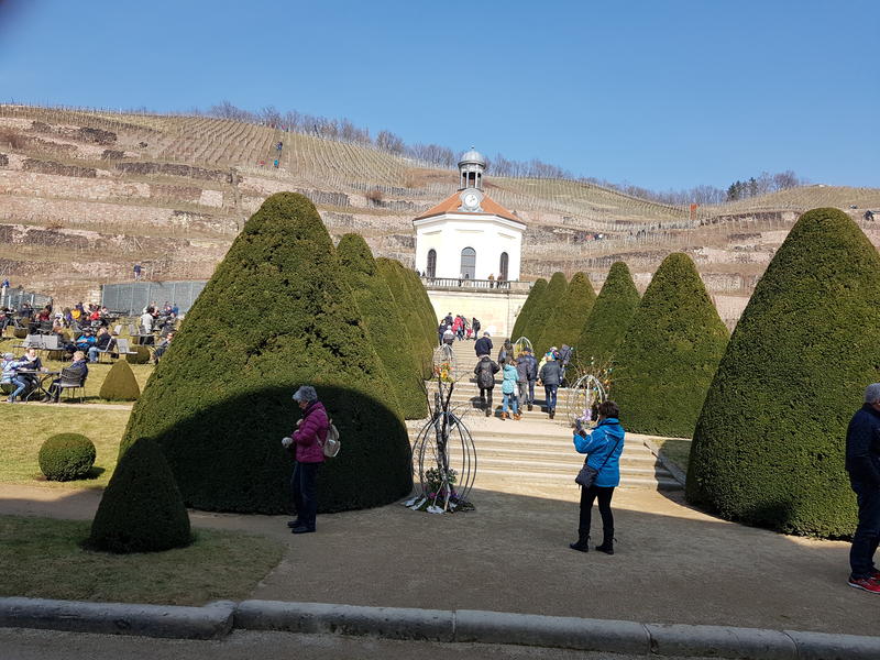 32207244ou.jpg