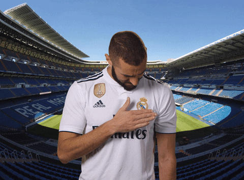 giphy.gif