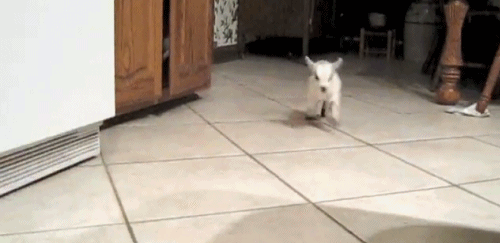 tumblr_inline_mrdptt88uA1qz4rgp.gif