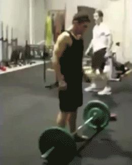 giphy.gif