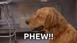 9dbfbb3d895b3db929ce30c471a6addb.gif