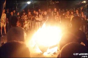 tumblr_nqjdu6Ebw81s02vreo1_400.gif