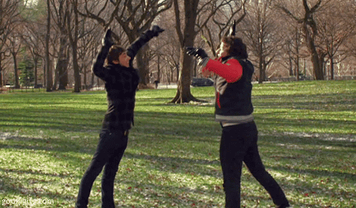 giphy.gif