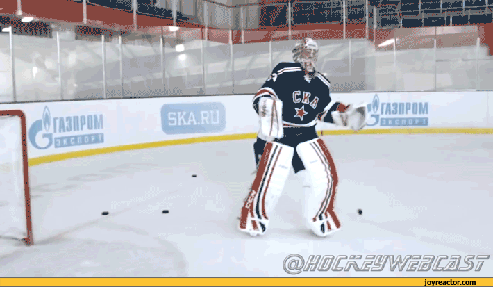 gif-hockey-like-a-boss-Backflip-1049542.gif