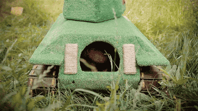 tumblr_ohxpo9UuXm1s02vreo2_400.gif