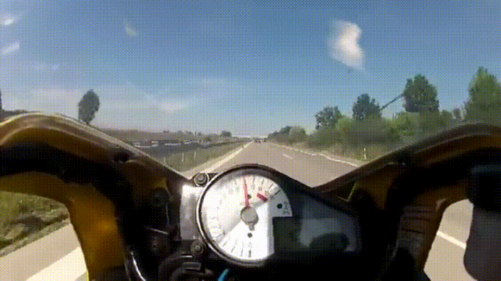 giphy.gif