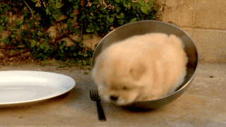 DPy3L3r.gif