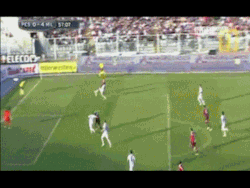tumblr_mmhrocHx7l1qdy9oko4_250.gif