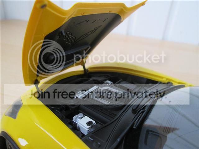 IMG_1569_zpsrbc3ohxx.jpg