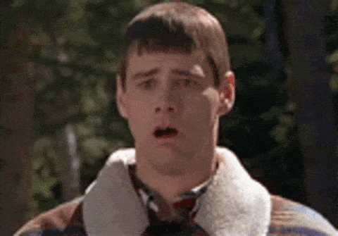giphy-downsized-large.gif