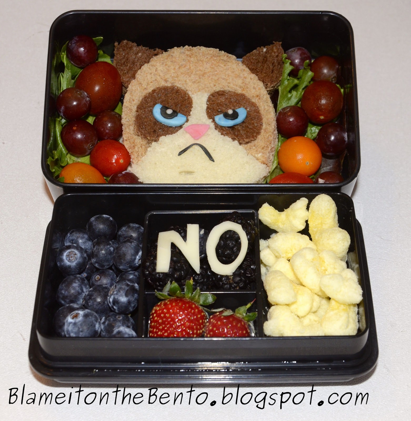 Grumpycatbento.JPG
