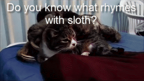5.gif