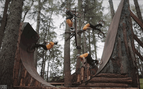 tumblr_nu9ofaiCUf1sqx8y7o4_500.gif