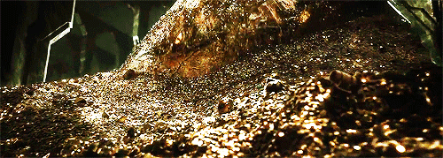tumblr_n1r8a9XFau1snydeqo4_r1_500.gif