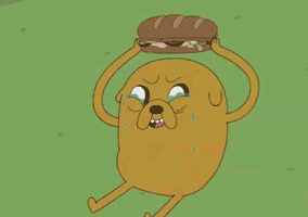 giphy.gif