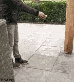 tumblr_nqi50vibut1s2yegdo1_400.gif