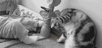 mIpz6.gif