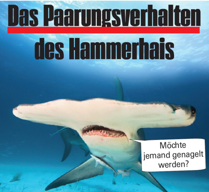 1728407773187-png.267118