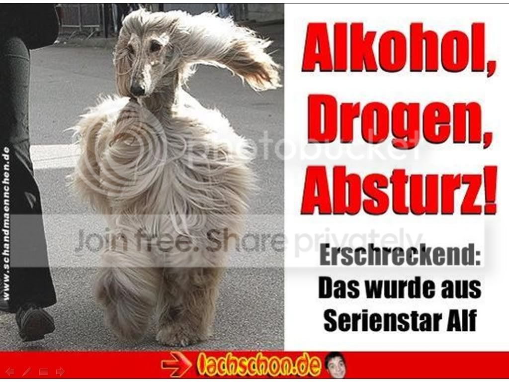 alf.jpg