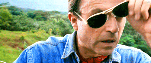 a6SkRYX.gif