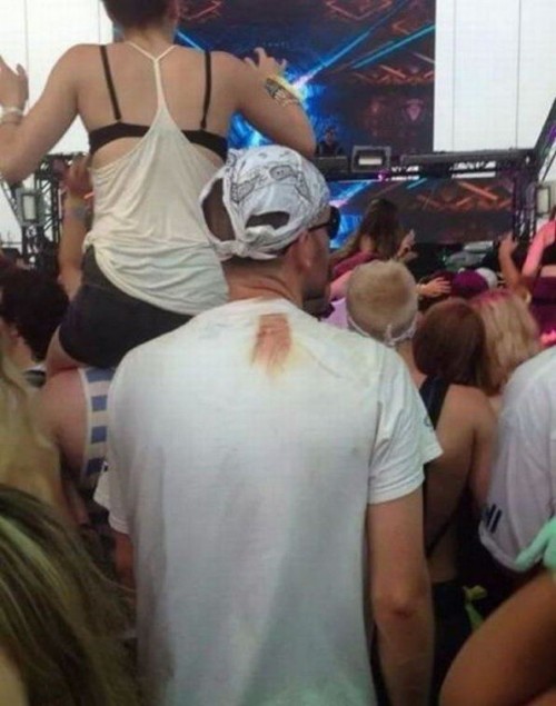 thumbs_picdump388_062.jpg