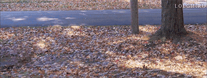 tumblr_nlelh99A3J1u2jwbho1_500.gif