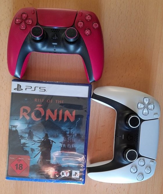 Ronin.jpg