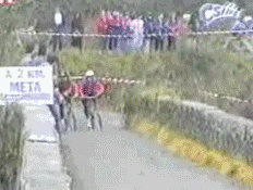 23.gif