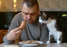 e4d53ca27e0ce0baa2e3ef868267ef7f.gif
