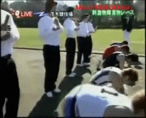 giphy.gif