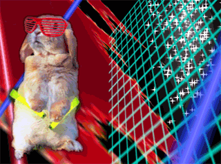 tumblr_llzisecxiI1qii6tmo1_400.gif