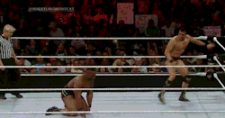 tumblr_nem56sDznf1soh95yo5_250.gif
