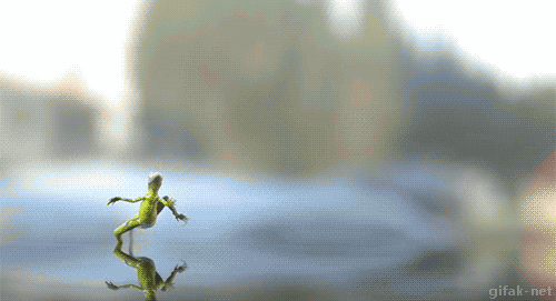 tumblr_inline_np67rv0hS81qc4673_500.gif