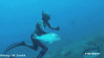 200.gif