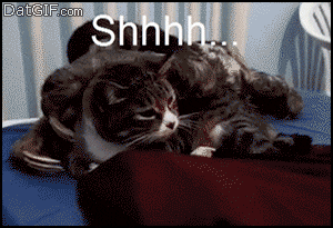 giphy.gif